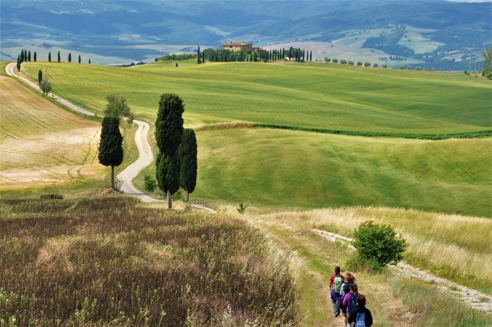 Agriturismo Le Sorbelle D'Orcia Con Piscina Pienza Exteriér fotografie