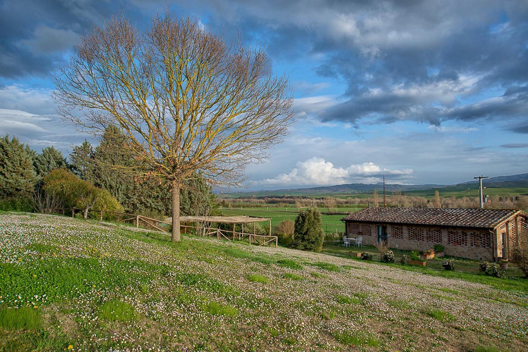 Agriturismo Le Sorbelle D'Orcia Con Piscina Pienza Exteriér fotografie