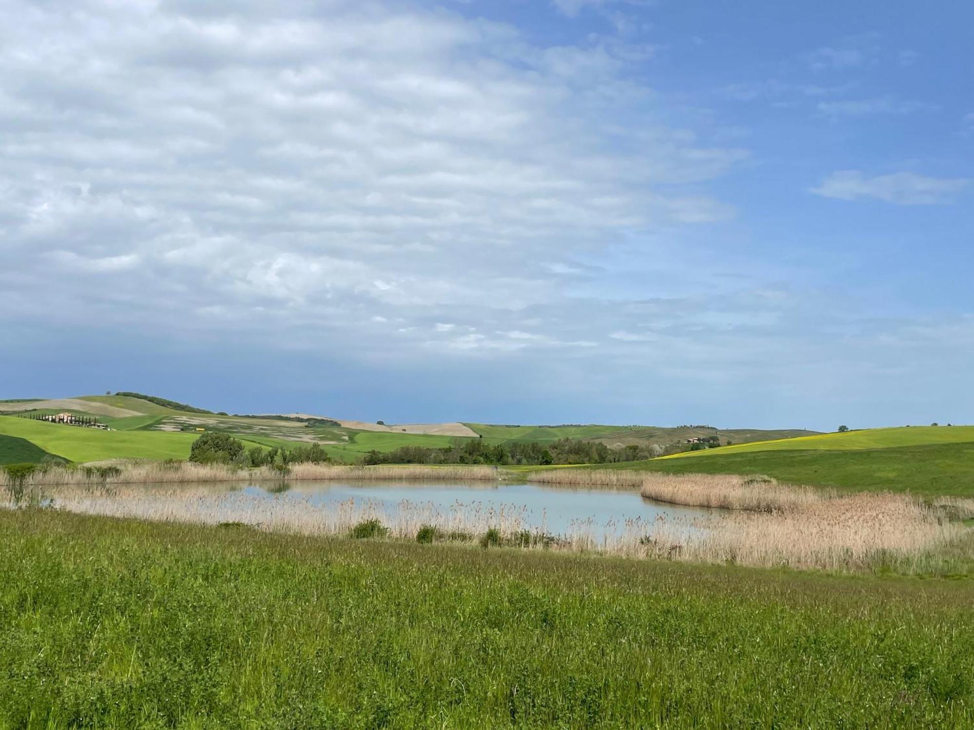 Agriturismo Le Sorbelle D'Orcia Con Piscina Pienza Exteriér fotografie